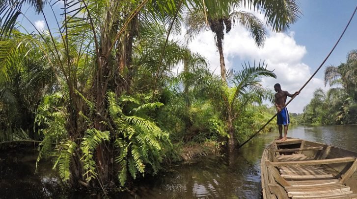 « Le Défi de l’eau douce : une coalition de gouvernements lance une initiative historique pour restaurer les écosystèmes d’eau douce dégradés »